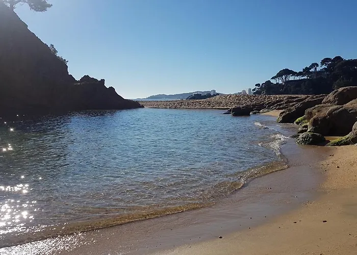 Junto Al Mar Con Jardin Comunitario Y Parking *