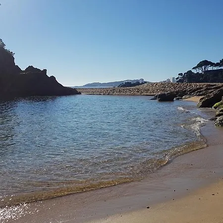 Junto Al Mar Con Jardin Comunitario Y Parking *